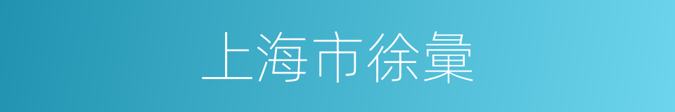 上海市徐彙的同義詞
