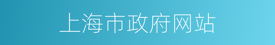 上海市政府网站的同义词