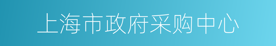 上海市政府采购中心的同义词