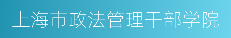 上海市政法管理干部学院的同义词