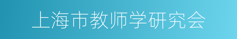 上海市教师学研究会的同义词