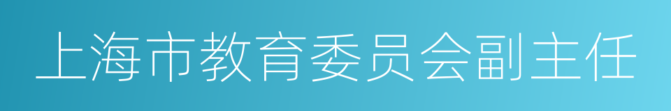 上海市教育委员会副主任的同义词