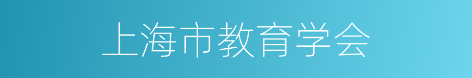 上海市教育学会的同义词