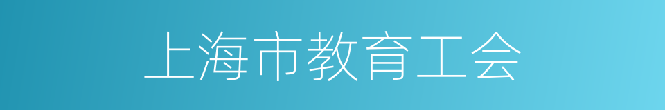 上海市教育工会的同义词