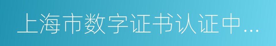 上海市数字证书认证中心有限公司的同义词