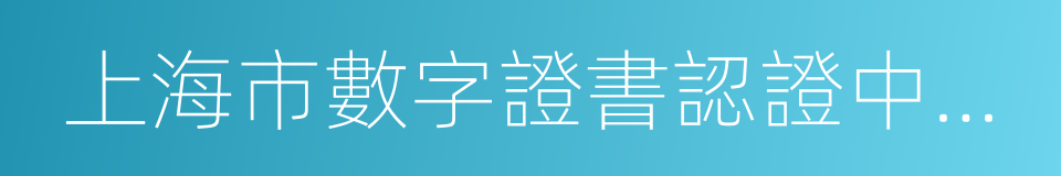 上海市數字證書認證中心有限公司的同義詞