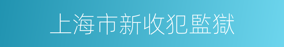 上海市新收犯監獄的同義詞