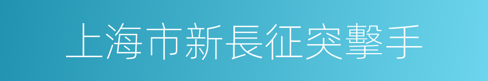 上海市新長征突擊手的同義詞