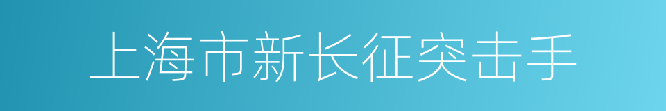 上海市新长征突击手的同义词