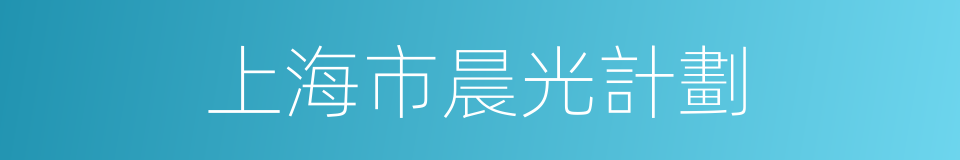上海市晨光計劃的同義詞