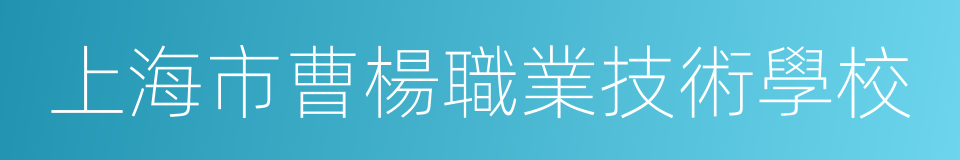 上海市曹楊職業技術學校的同義詞