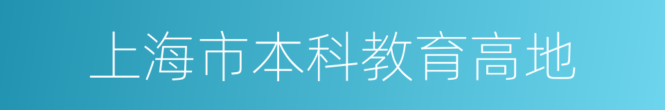 上海市本科教育高地的同义词