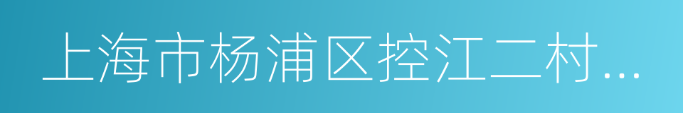 上海市杨浦区控江二村小学的同义词