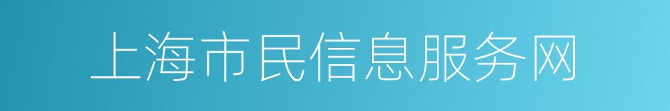 上海市民信息服务网的同义词