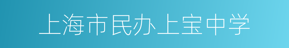 上海市民办上宝中学的同义词