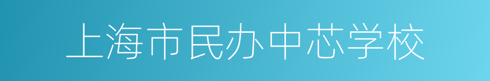 上海市民办中芯学校的同义词