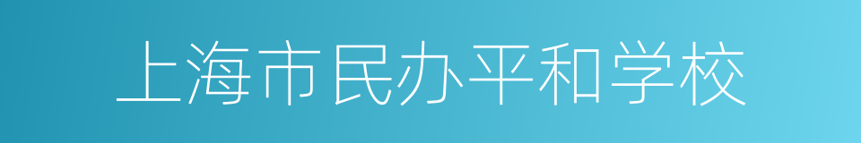 上海市民办平和学校的意思