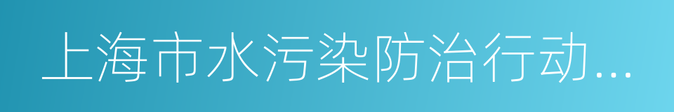 上海市水污染防治行动计划实施方案的同义词