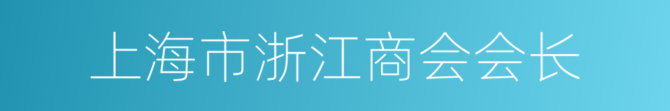 上海市浙江商会会长的同义词