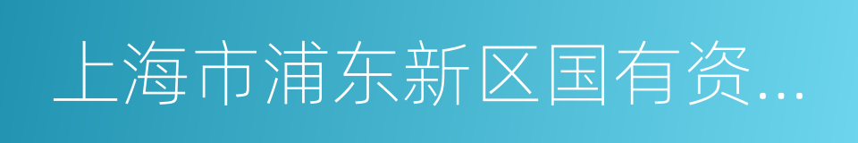 上海市浦东新区国有资产监督管理委员会的同义词