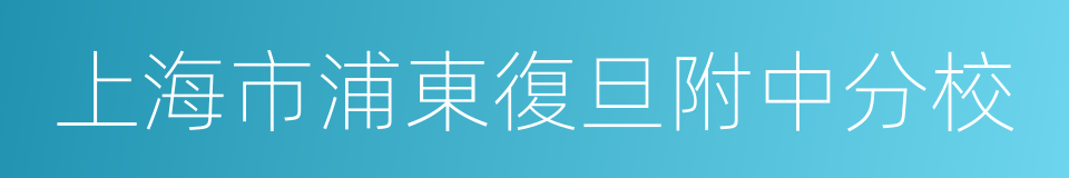 上海市浦東復旦附中分校的同義詞