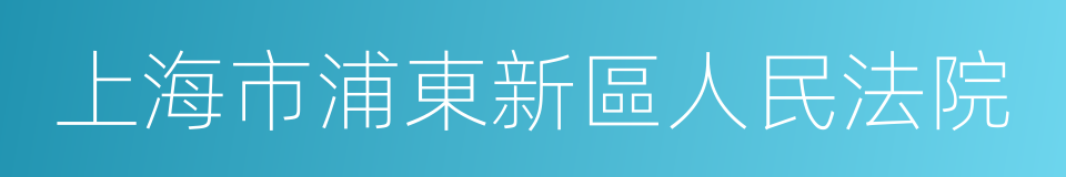 上海市浦東新區人民法院的同義詞