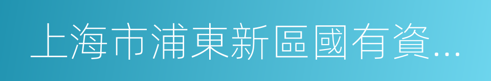 上海市浦東新區國有資產監督管理委員會的同義詞