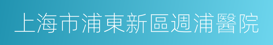 上海市浦東新區週浦醫院的同義詞