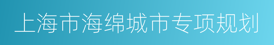 上海市海绵城市专项规划的同义词