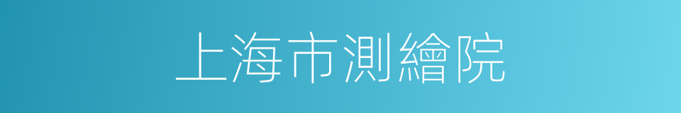 上海市測繪院的同義詞