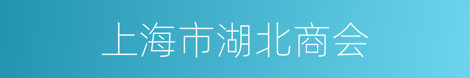 上海市湖北商会的同义词