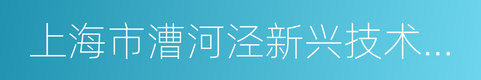 上海市漕河泾新兴技术开发区的同义词