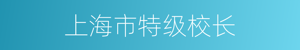 上海市特级校长的同义词