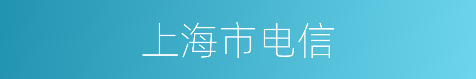 上海市电信的同义词