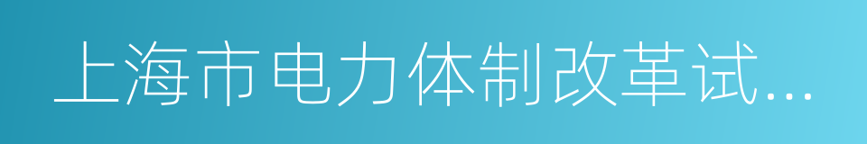 上海市电力体制改革试点方案的同义词