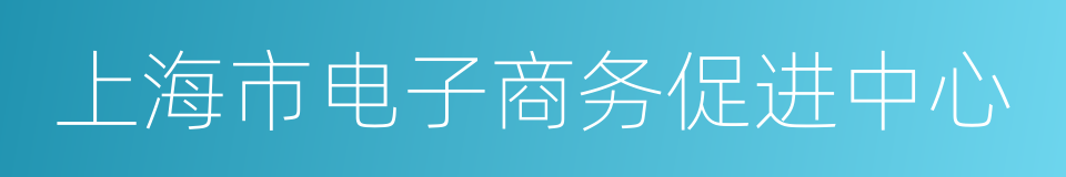 上海市电子商务促进中心的同义词