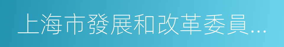 上海市發展和改革委員會副主任的同義詞