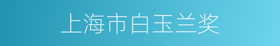 上海市白玉兰奖的同义词