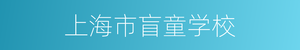 上海市盲童学校的同义词