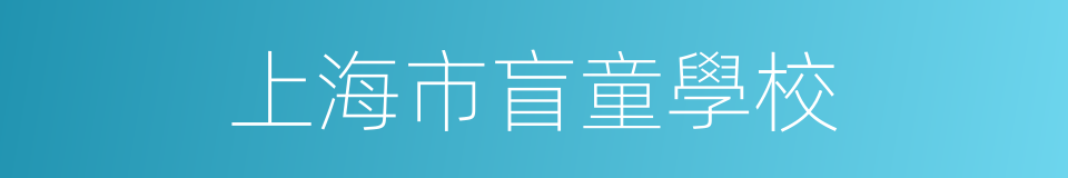 上海市盲童學校的同義詞