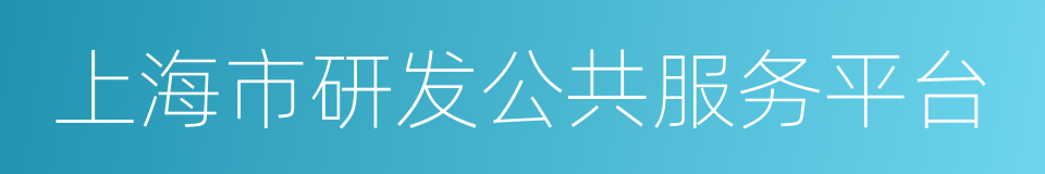 上海市研发公共服务平台的同义词