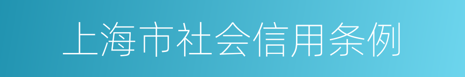 上海市社会信用条例的同义词