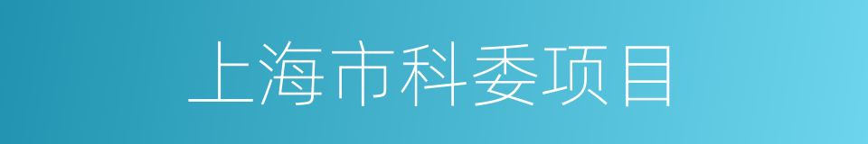上海市科委项目的同义词