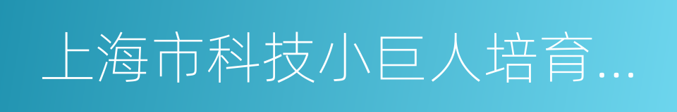 上海市科技小巨人培育企業的同義詞