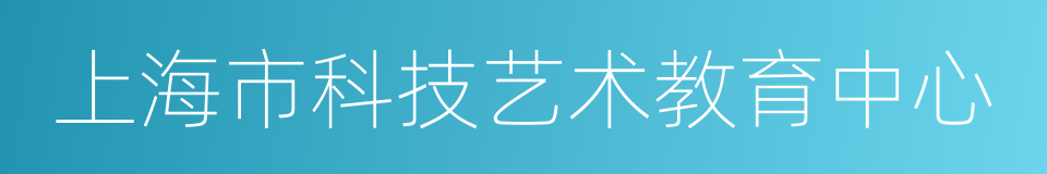 上海市科技艺术教育中心的同义词