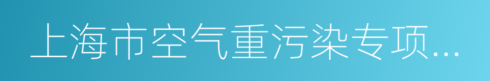 上海市空气重污染专项应急预案的同义词