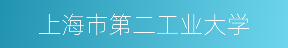 上海市第二工业大学的同义词