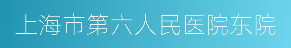 上海市第六人民医院东院的同义词