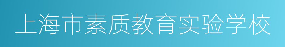 上海市素质教育实验学校的同义词