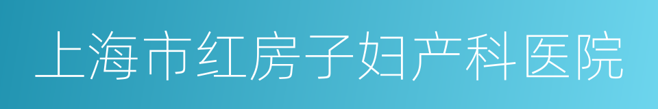 上海市红房子妇产科医院的同义词